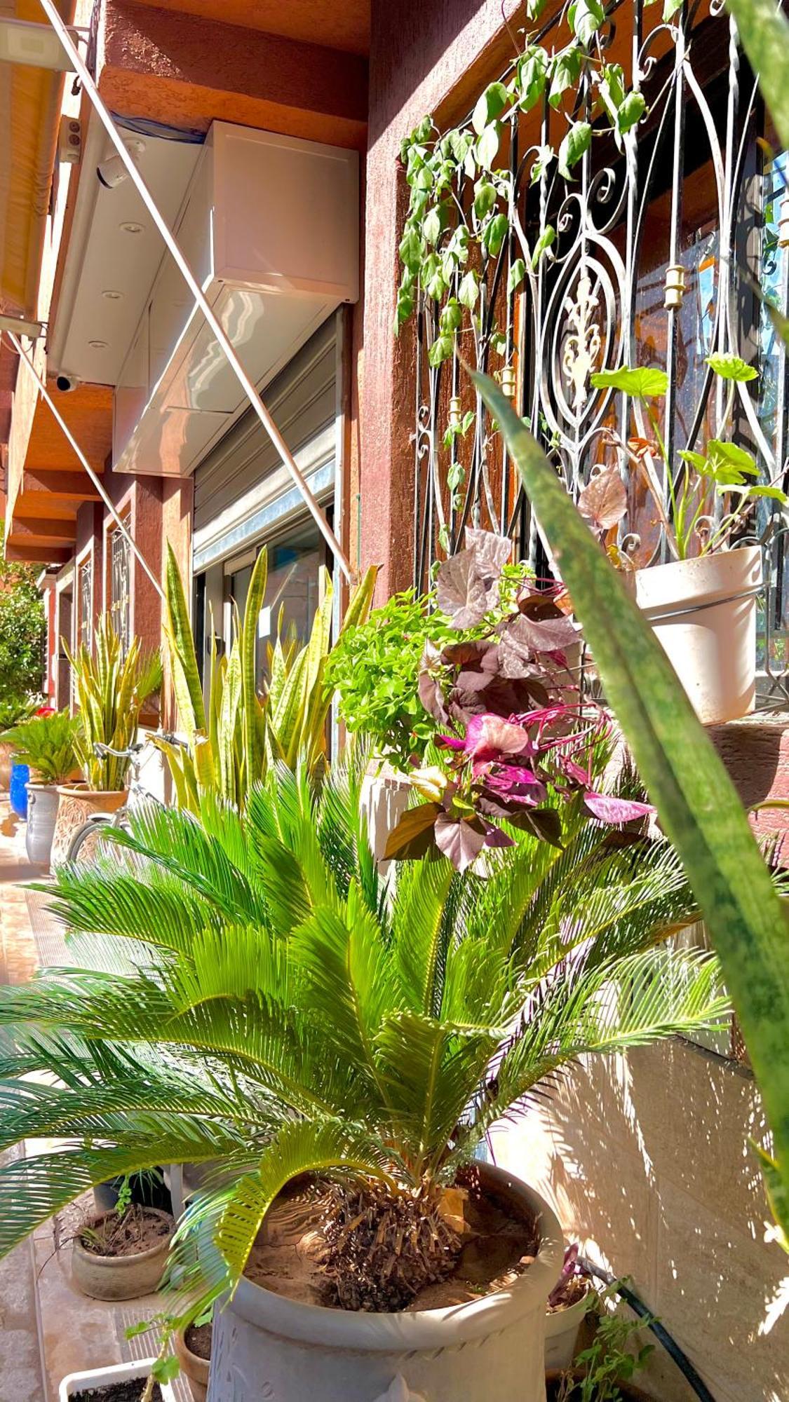 Cycas Family Aparts -Only Family Marrakesh Exterior photo